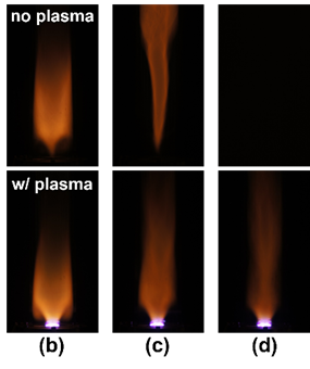 Plasma assisted ammonia flame